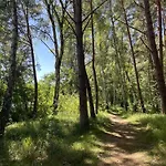 Ostseeperle - Pool, Sauna, 2 Bikes