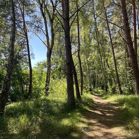 Ostseeperle - Pool, Sauna, 2 Bikes