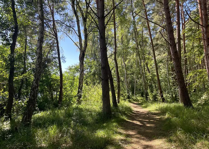 Ostseeperle - Pool, Sauna, 2 Bikes